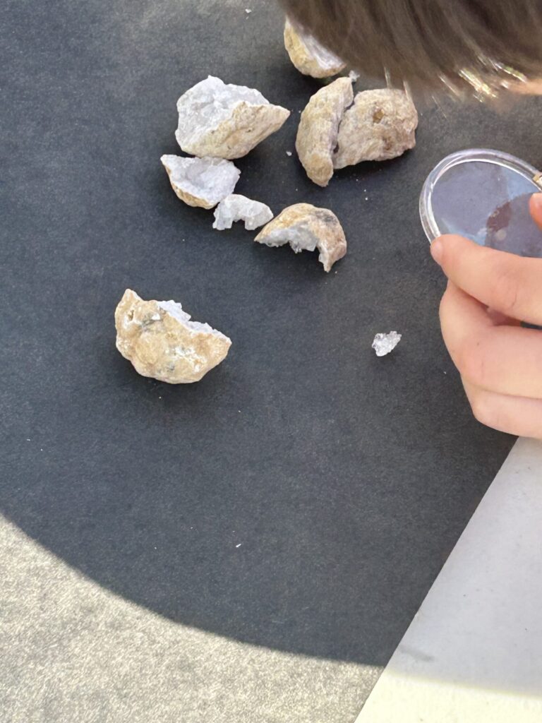 A student looking at pieces of geodes